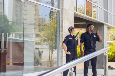 Mall security 