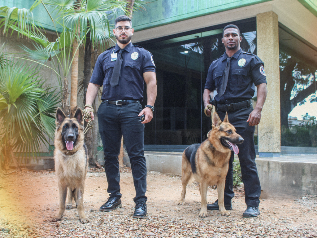 Guard Dogs and Security Guards