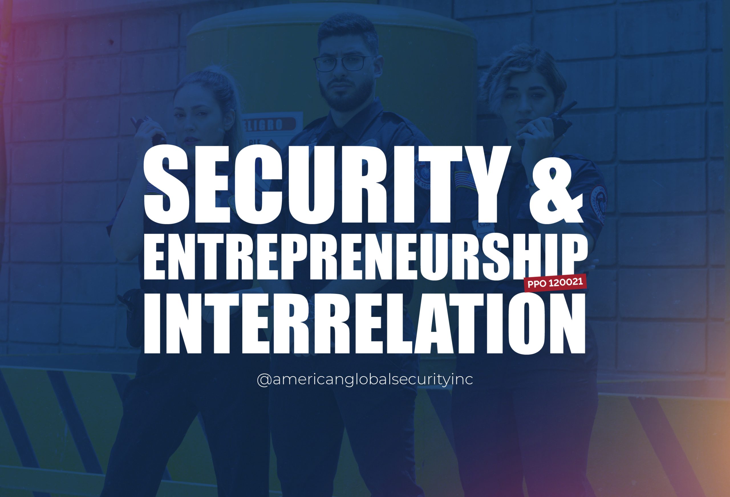Security & Entrepreneurship Interrelation