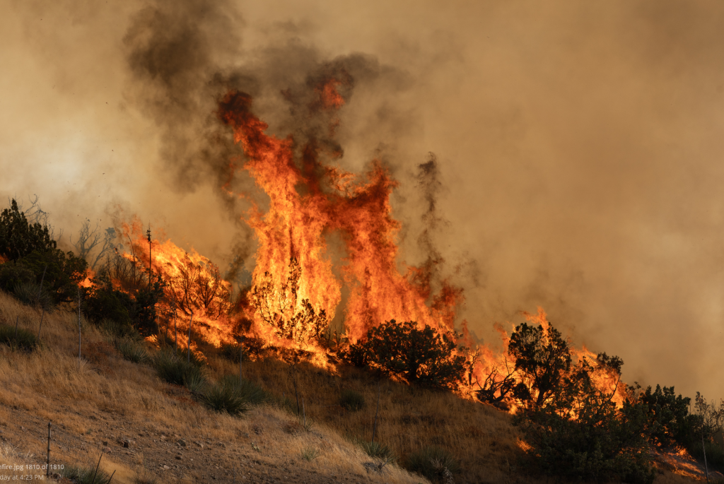 Wildfires in California