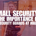 Mall Security: The Importance of Security Guards at Mall