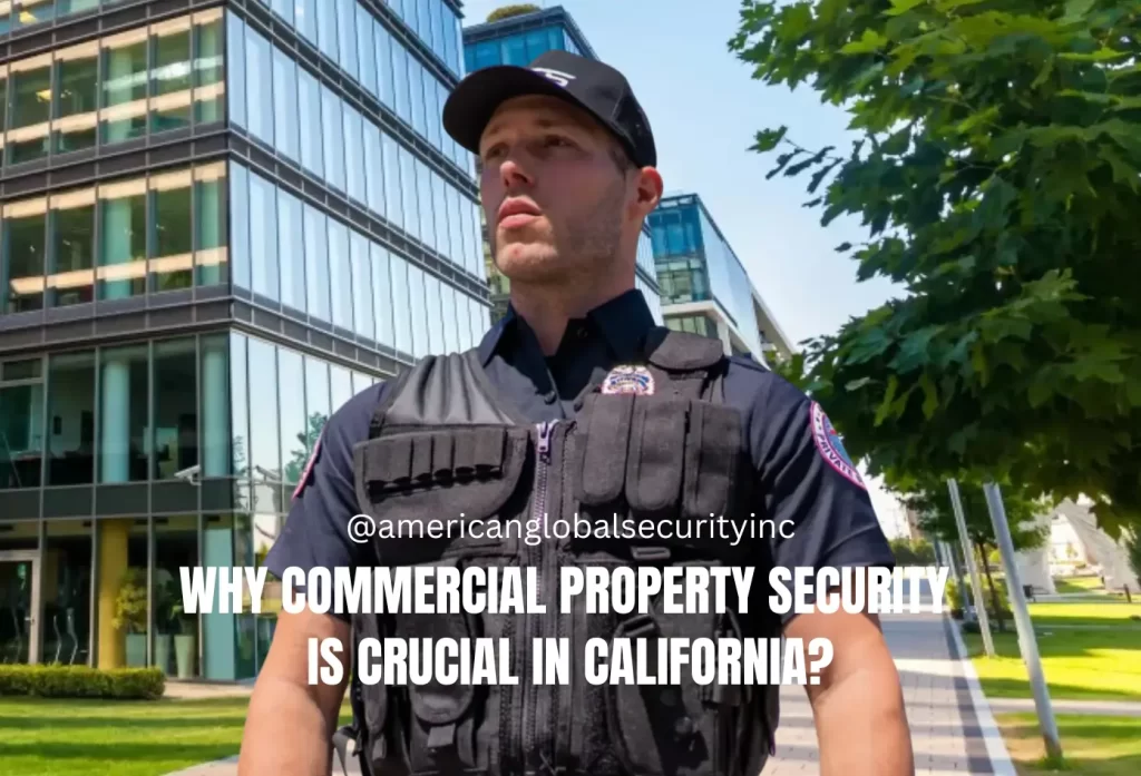 Why Commercial Property Security Is Crucial in California?