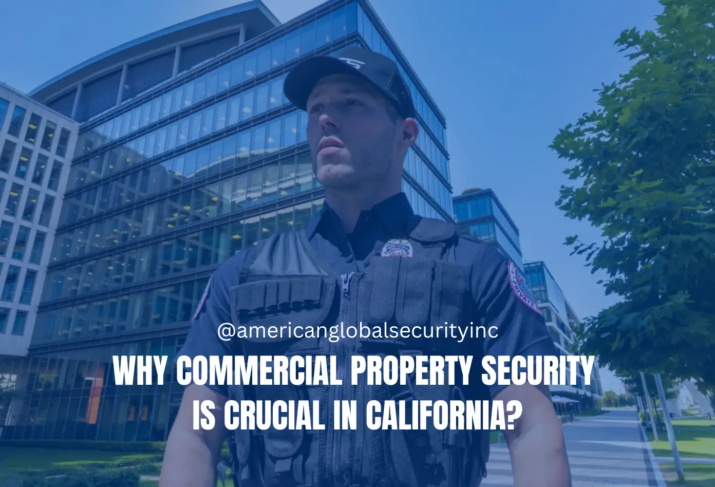 Commercial Property Security in California
